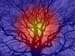 3001bFRV-Arbre silhouette 2-2