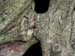 3532aFRV-Le baiser