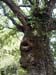 3549aFRV-Arbre Totem