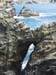 4012hFRV-Vielle pierre